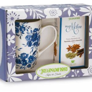 TISANA MAGO MERLINO 15 FILTRI + MUG