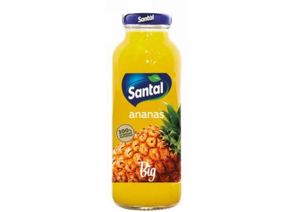Succo Santal 100% Frutta Ananas 250 ml - Confezione da 24 bottiglie