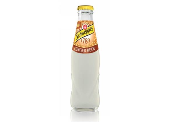 Schweppes Ginger Ale 18 cl - Confezione da 24 bottiglie