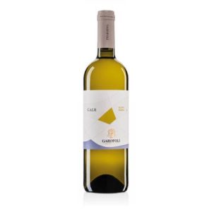 PECORINO GALE '24 DOC 75CL GAROFOLI