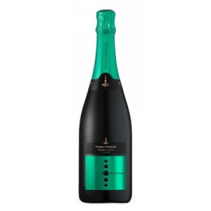 TERRE D'AENOR RICCIOLINA SATEN 75CL