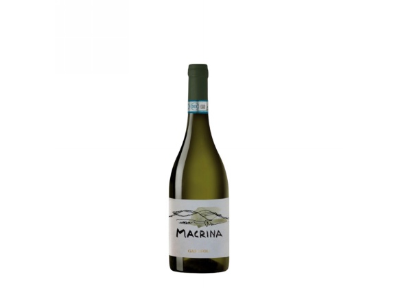 Macrina Verdicchio dei Castelli di Jesi Superiore DOC 2025 37,5 cl