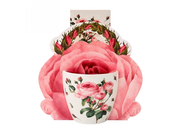 INFUSO ERBE ALLA FRUTTA 50GR + MUG ROSE