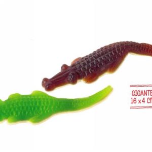 ALLIGATORE GIGANTE 1KG