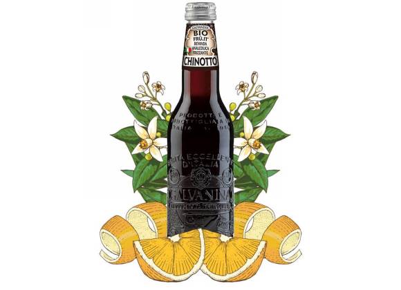 Galvanina Chinotto Bio 355 ml - Confezione da 12 bottiglie