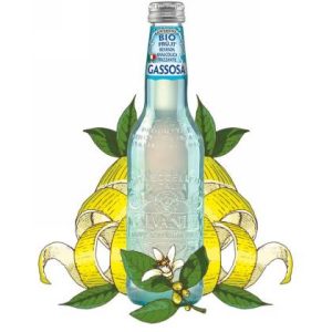 GASSOSA BIO BOTT.355ML 12PZ GALVAN.